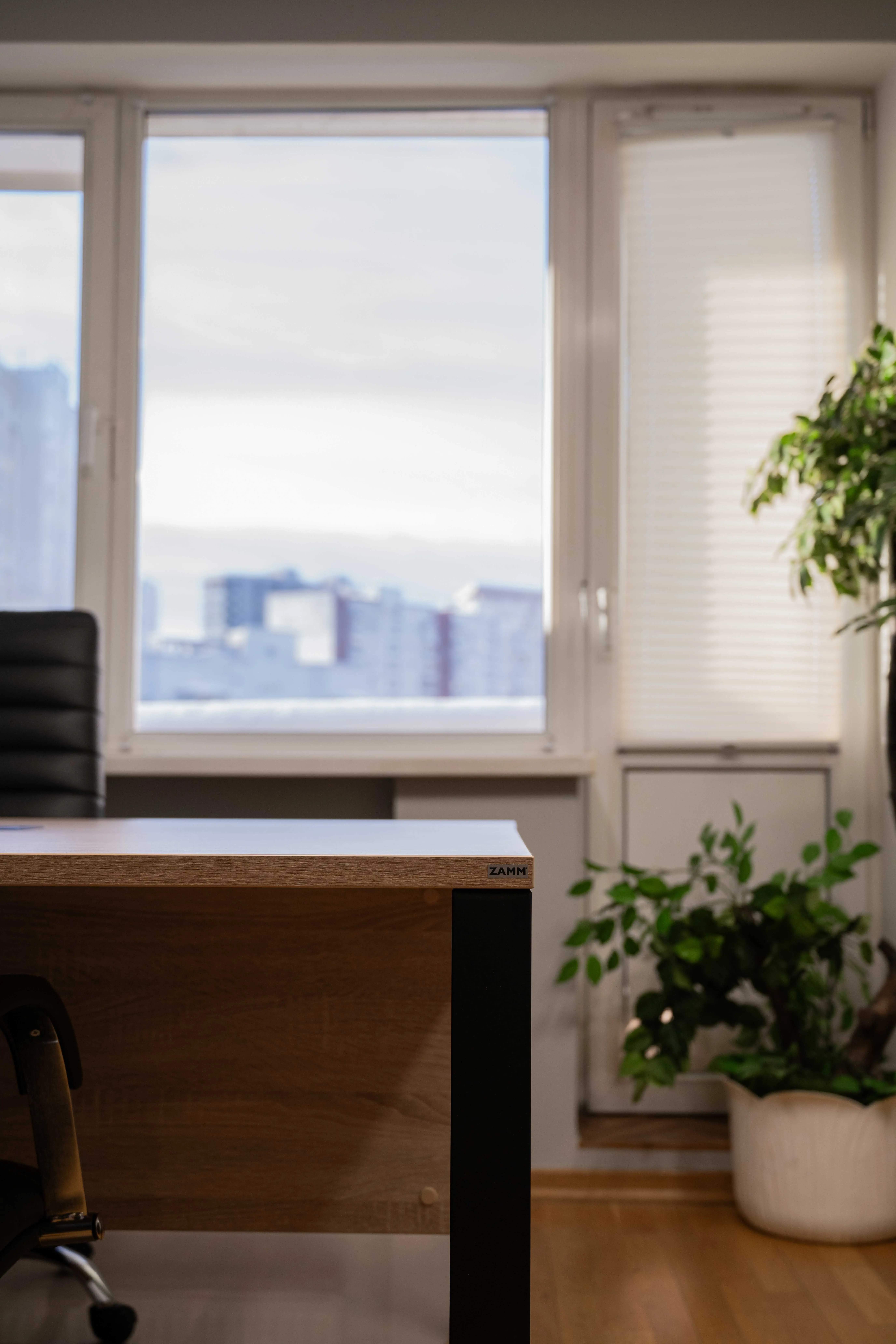 ВЫСШАЯ ШКОЛА ГОСУДАРСТВЕННОГО УПРАВЛЕНИЯ №8