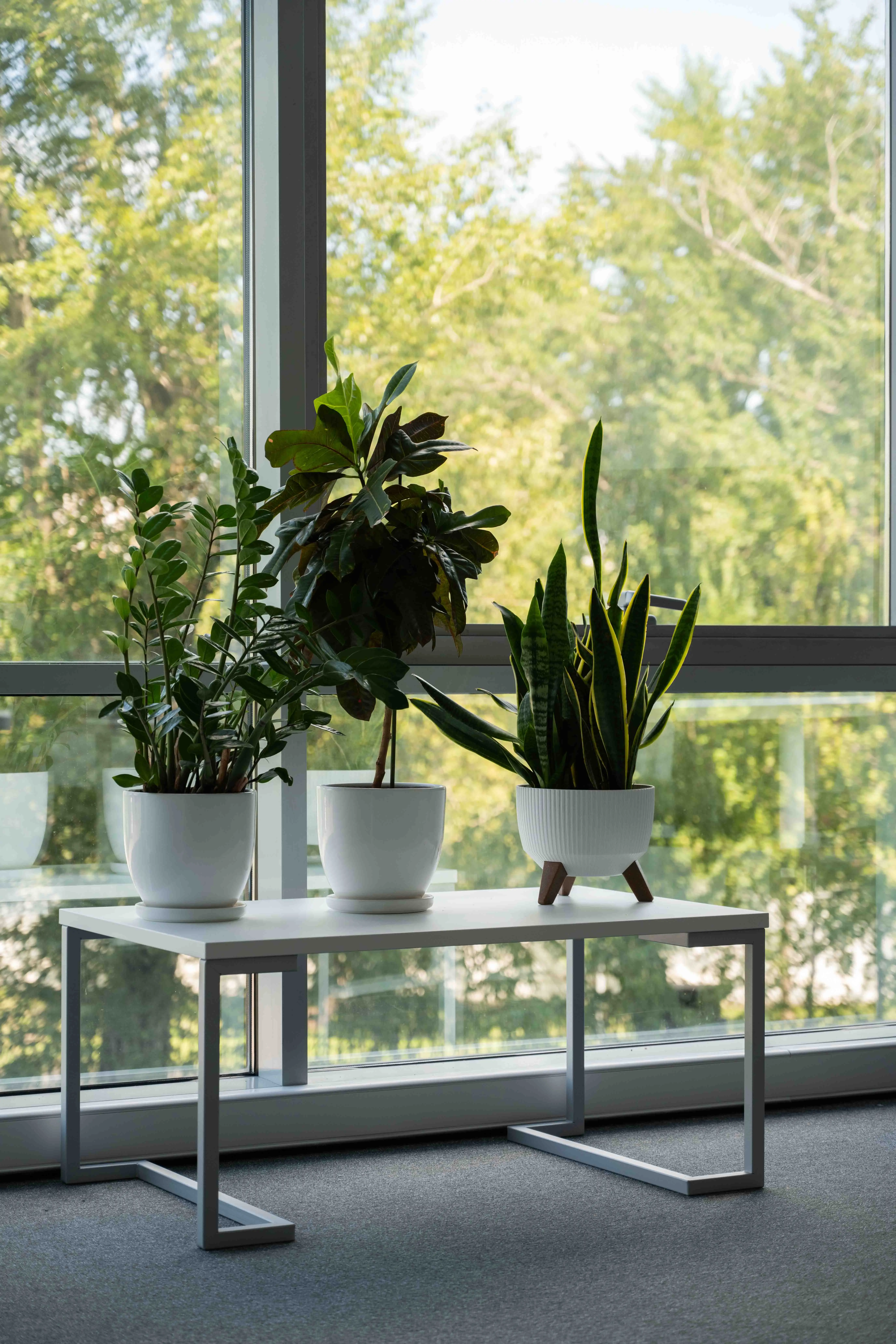 Кварта Групп №8