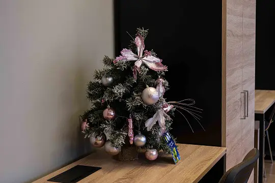 Высшая Школа Государственного Управления