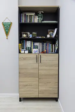 Системы Биологического Синтеза