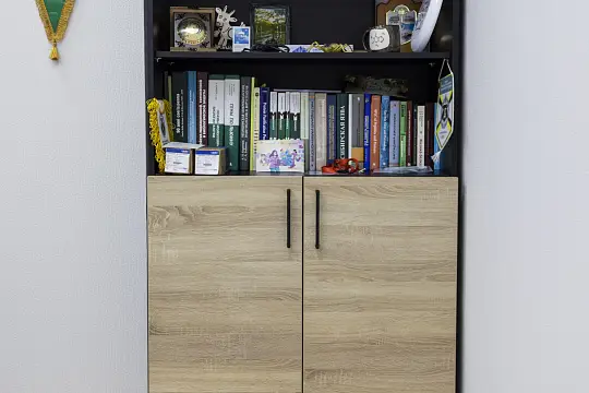 Системы Биологического Синтеза