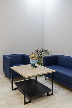 Системы Биологического Синтеза