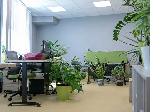 Музыкант