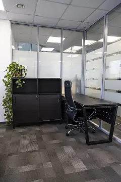 Выборг лес