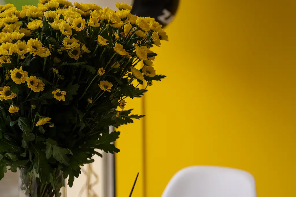 Шоу-рум ZAMM для юр. и физ. лиц (Покровка) – фото 5