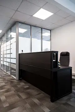 Выборг лес