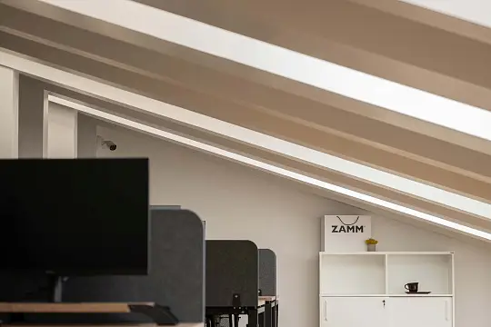ZAMM
