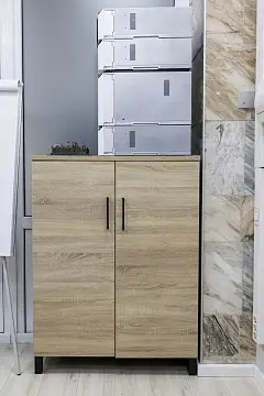 Системы Биологического Синтеза