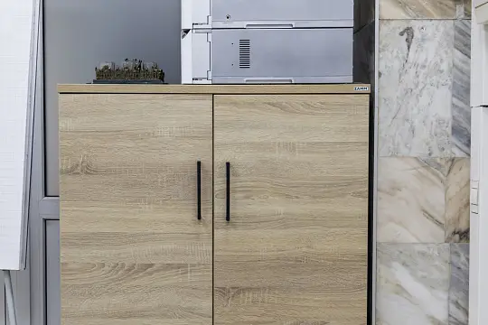 Системы Биологического Синтеза