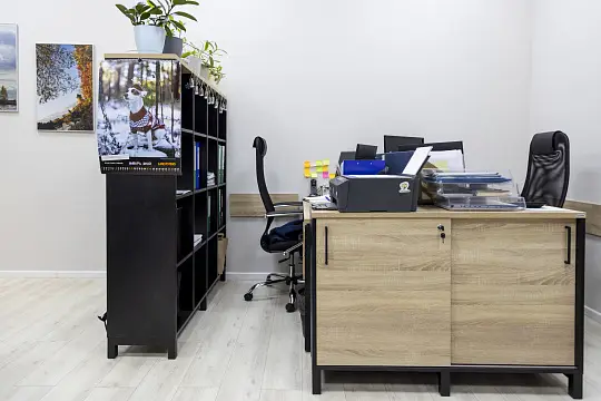 Системы Биологического Синтеза