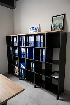 НПП «Вега»