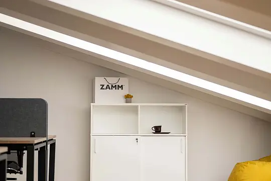ZAMM