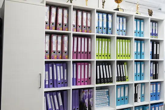 Российская Федерация Баскетбола