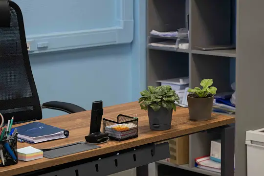 ТермоЮнити