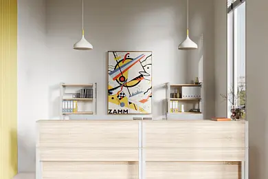 Шоу-рум ZAMM для юр. лиц (Проспект Мира) – фото 1