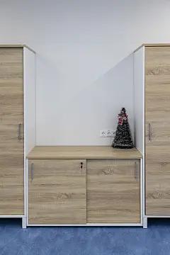 Rusprofile