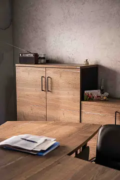 НПП «Вега»